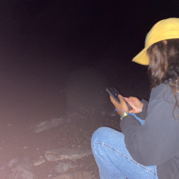 Dounia profile