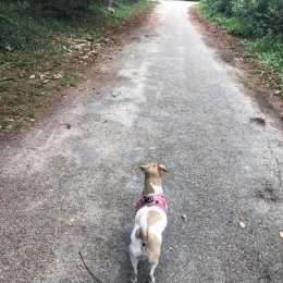 Engus & marley profile