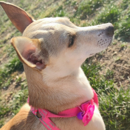 Evelyn arantza profile