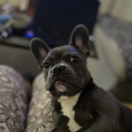 Maggy profile
