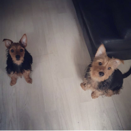 Maem et lulu profile
