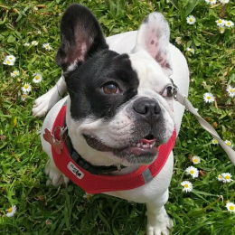 Céline profile