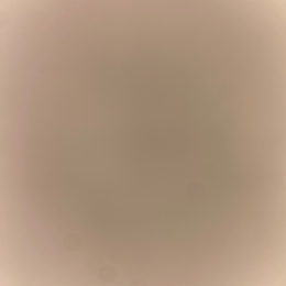 Dijdkdk profile