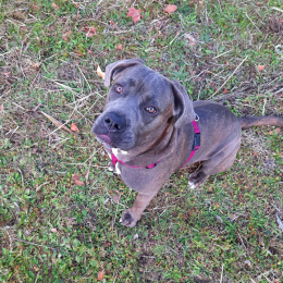 Rubie profile