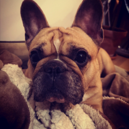 Gosp'elle profile