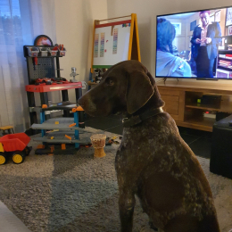 Mooky profile