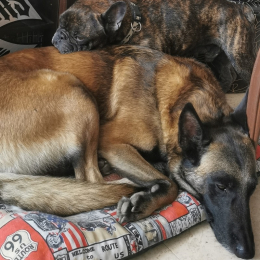 Itak et ifrit profile