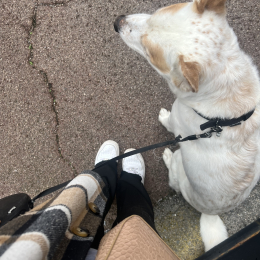 Wiggles profile