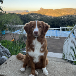 Loki profile