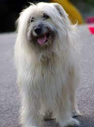 Polan et grace profile