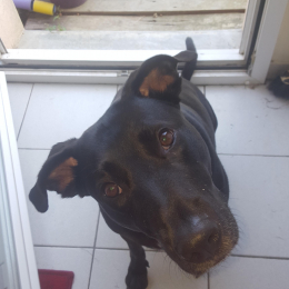 Snoop profile
