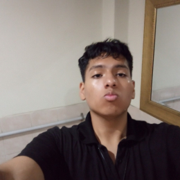 Anghelo profile