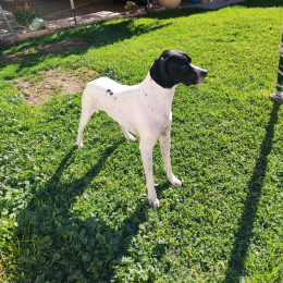 Paula profile