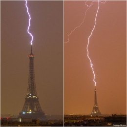 Sam, doudou et croco profile