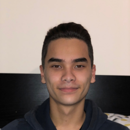 Vincent profile