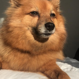 Jouna profile