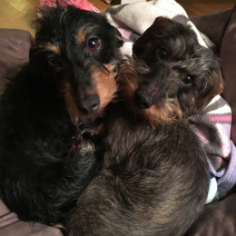 Ixy et greta profile