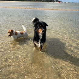 Olaf et nelson profile