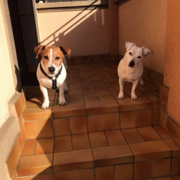 Fast et giga profile