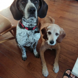 Numa & izzi profile