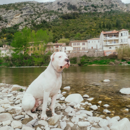 Rio profile