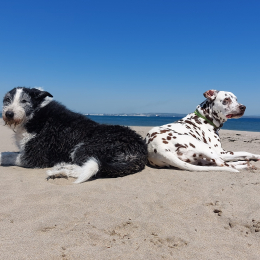 Lilou et jasmine profile