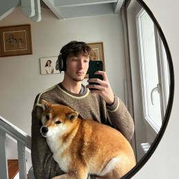 Ulysse profile