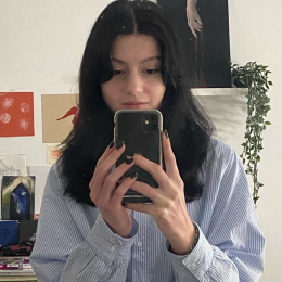 Ines profile