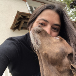 Coline profile