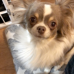 Happy profile