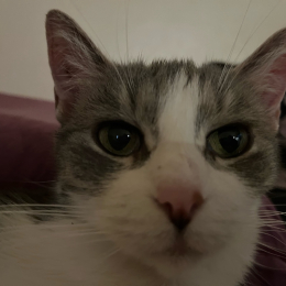 Bianca profile