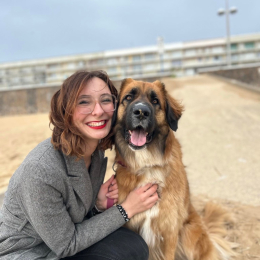 Doggo profile