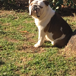 Lord profile