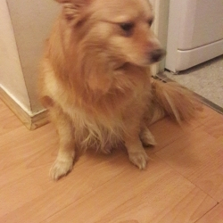 Herko profile