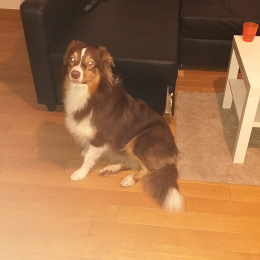 Naika profile