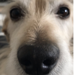 Nunute profile