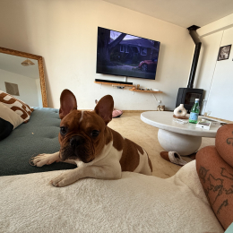 Woody et buzz profile