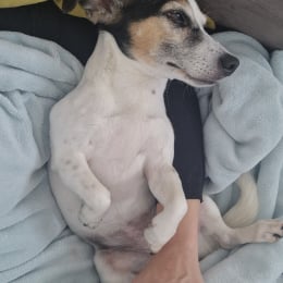 Leetchie profile