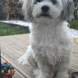 Cookie profile