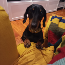 Teo e meile' profile