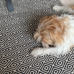 Charlie profile
