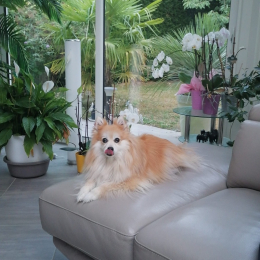 Louna profile