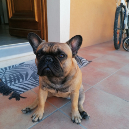 Heiva profile