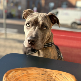Cookie profile
