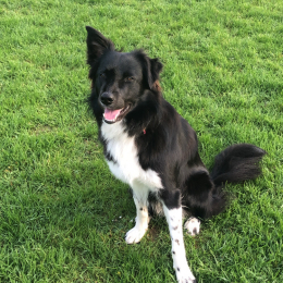 Snooky profile