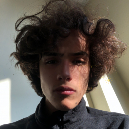 Antoine profile