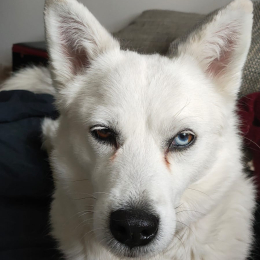 Lola tiah kaelan ioda profile