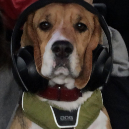 Charlie profile