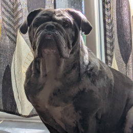 Gary profile