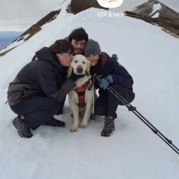 Reflex profile